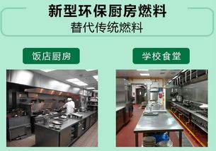 植物油燃料 未来能源的绿色引擎——技术推广与服务深度解析